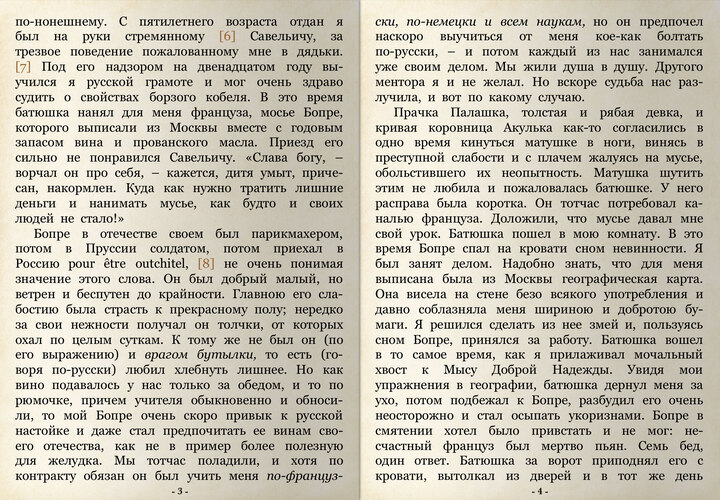 Настоящий экран чтения книги в iBouquiniste для iOS